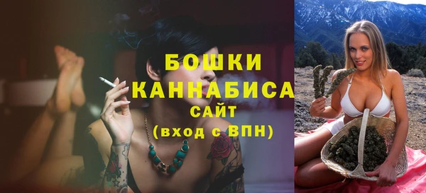 ГАЛЛЮЦИНОГЕННЫЕ ГРИБЫ Горняк