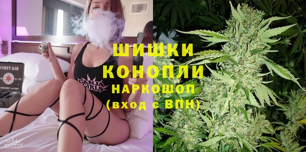 ГАЛЛЮЦИНОГЕННЫЕ ГРИБЫ Горняк