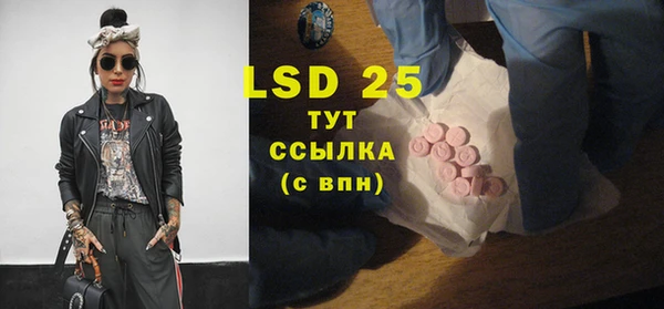 ГАЛЛЮЦИНОГЕННЫЕ ГРИБЫ Горняк