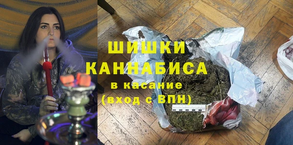 ГАЛЛЮЦИНОГЕННЫЕ ГРИБЫ Горняк