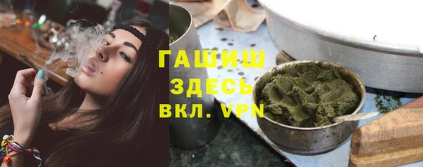 ГАЛЛЮЦИНОГЕННЫЕ ГРИБЫ Горняк