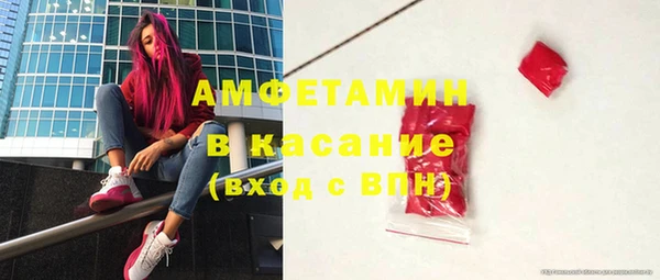 ГАЛЛЮЦИНОГЕННЫЕ ГРИБЫ Горняк