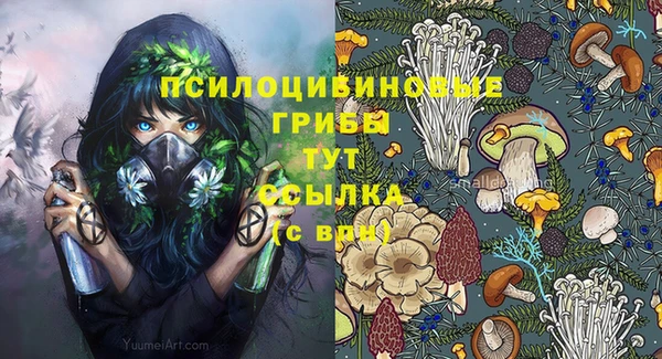 СК Горнозаводск