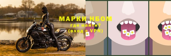 СК Горнозаводск
