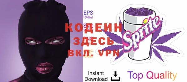 ГАЛЛЮЦИНОГЕННЫЕ ГРИБЫ Горняк