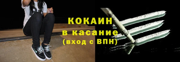 ГАЛЛЮЦИНОГЕННЫЕ ГРИБЫ Горняк