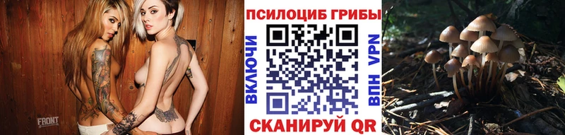 Псилоцибиновые грибы MAGIC MUSHROOMS Южно-Сухокумск