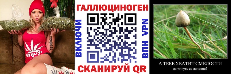 что такое наркотик  Южно-Сухокумск  Галлюциногенные грибы мухоморы 